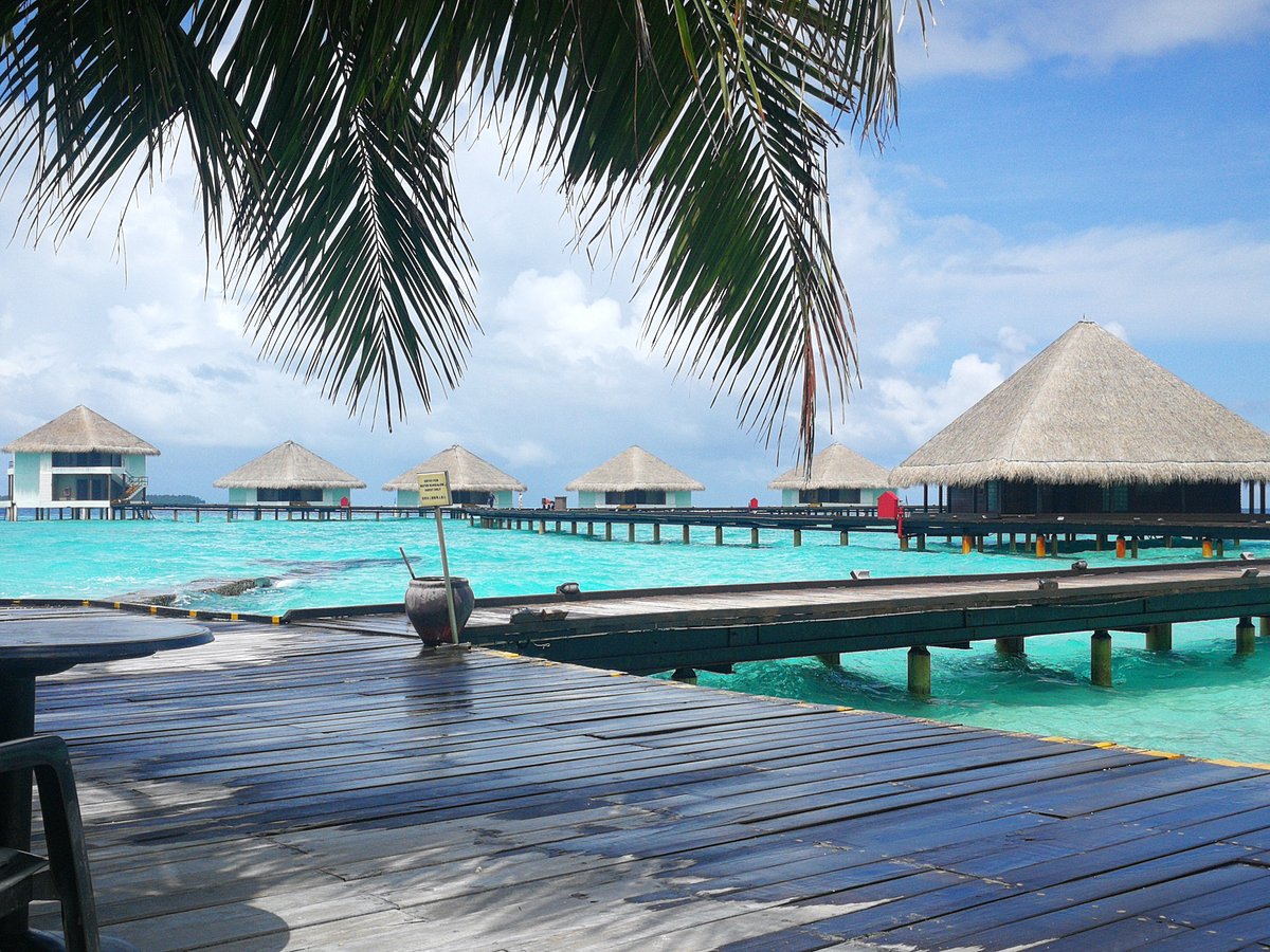 the-water-bungalows